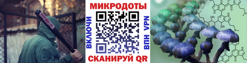 Галлюциногенные грибы GOLDEN TEACHER  ссылка на мегу tor  Славск  купить  сайты 